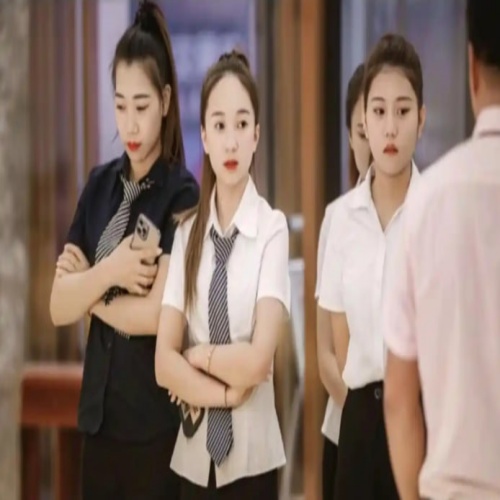 案例展示四